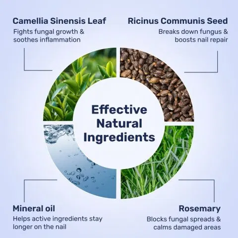 Natural ingredients found in the WellaNail formula.